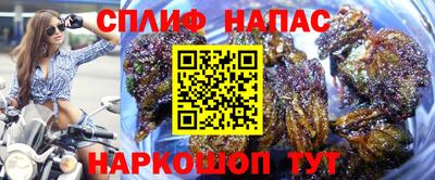 a pvp Дубна