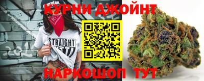 a pvp Дубна