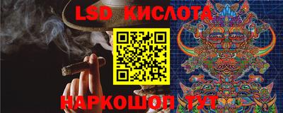 a pvp Дубна