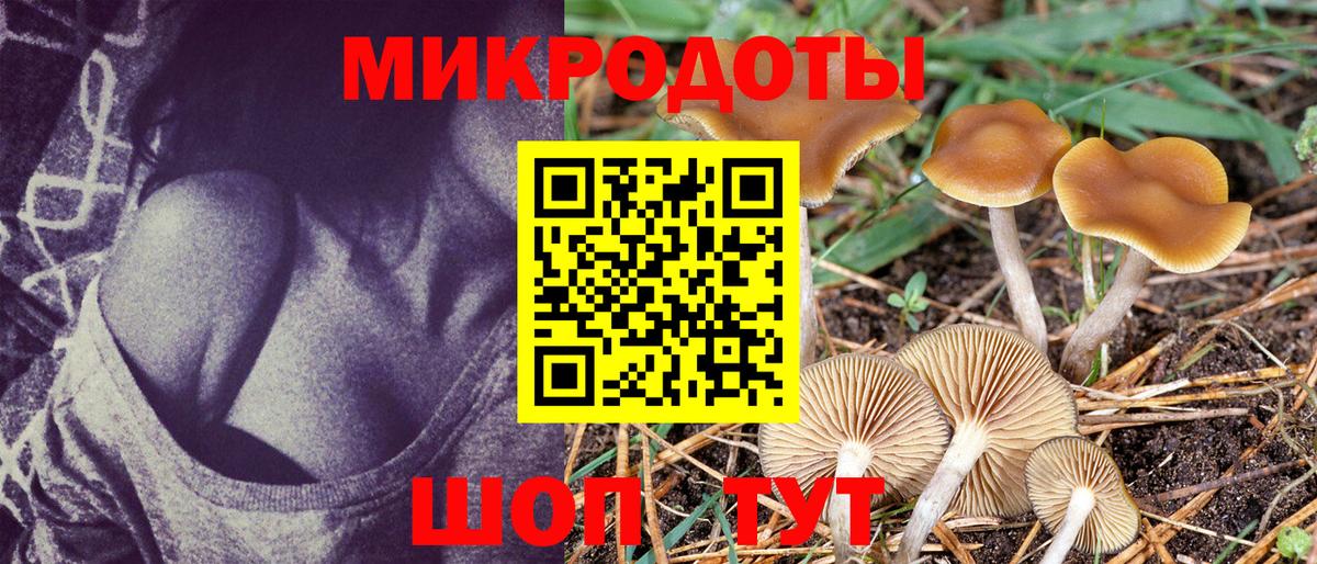 Псилоцибиновые грибы мицелий  Галлюциногенные грибы Psilocybine cubensis  Вход с VPN  Миллерово 